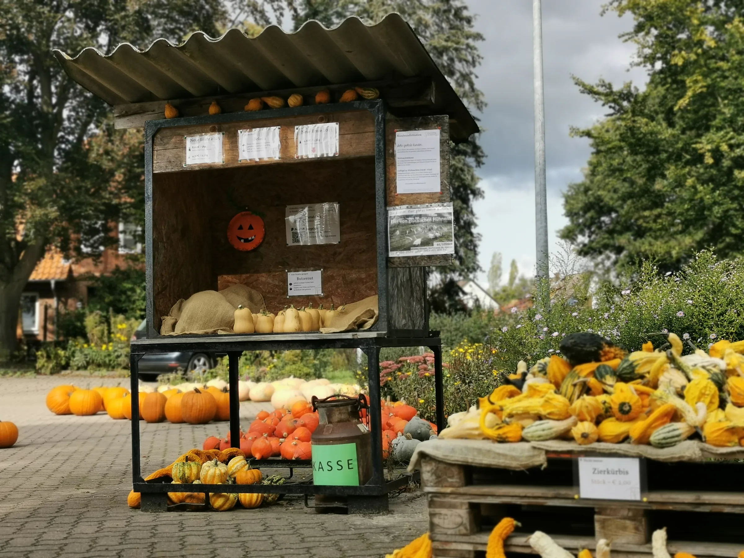 Verkaufsbox bei Tag mit der Milchkanne als Kasse, daneben Zierkürbisse auf Paletten
